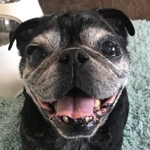 Meet your Posher, Kara